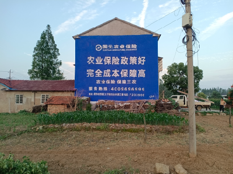 宁德墙体广告的优劣势你知道吗？